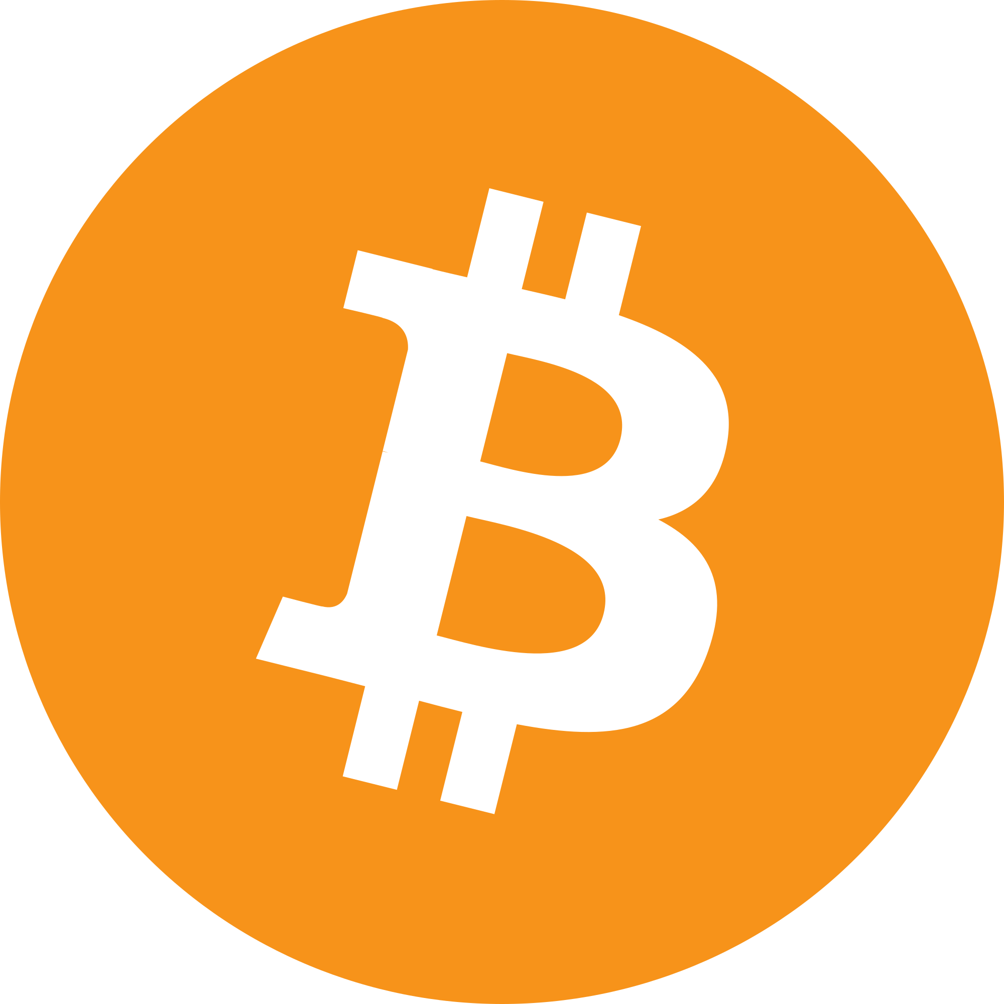 Coin Icon